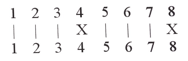 e13-photo